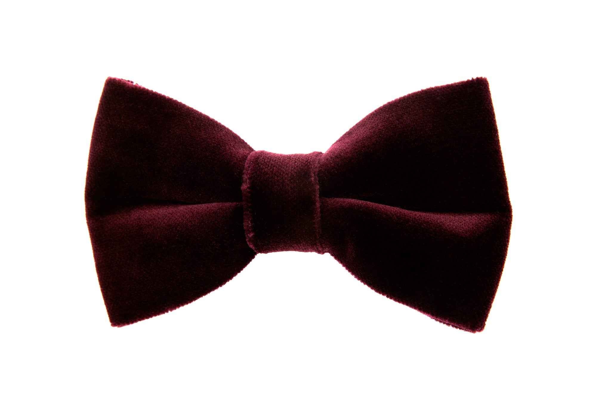 PAPION LOMBARDIA